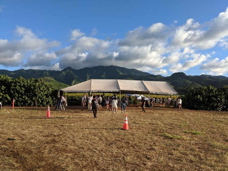 The big white tent at Waialua sunflower fields.