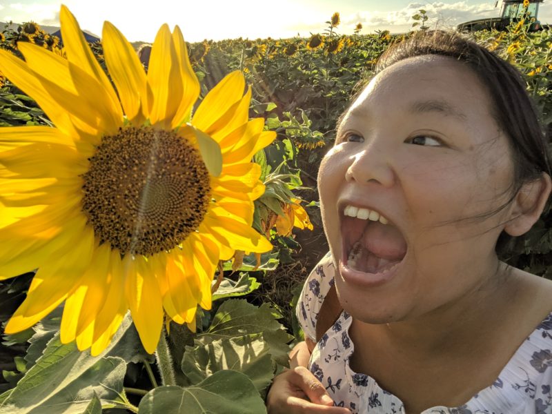 Hungry for sunflowers.
