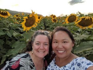 Taking pictures at sunflower fields at Waialua.