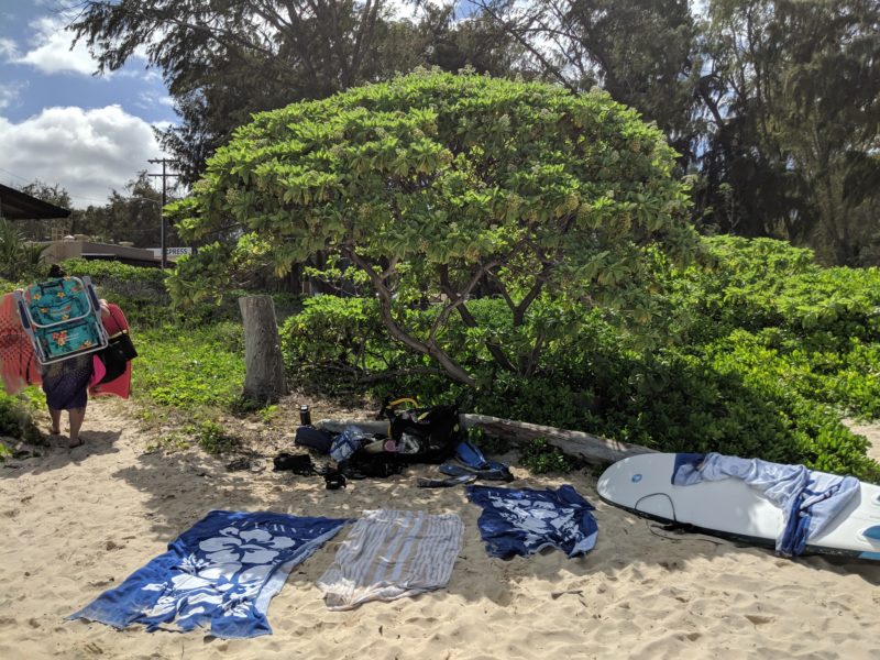 Shade at Bellows beach.