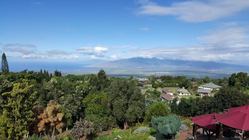 The view from Kula Lodge.