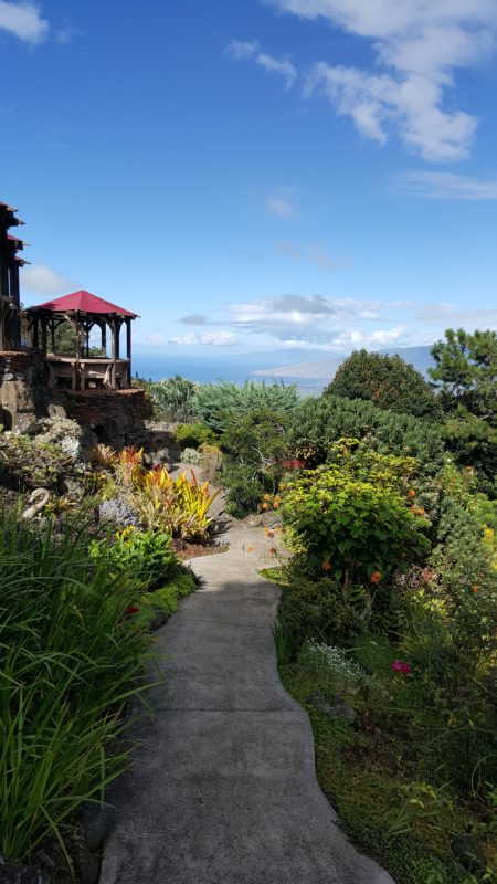 Walking through the gardens of Kula Lodge.