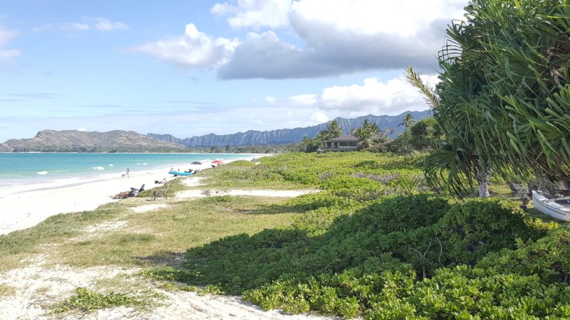 The view of Kalama Beach to the south.