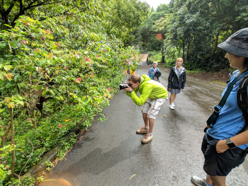 Taking photos at Waimea Valley.