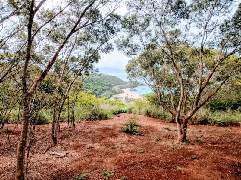 The view from the oceanside of the heiau.