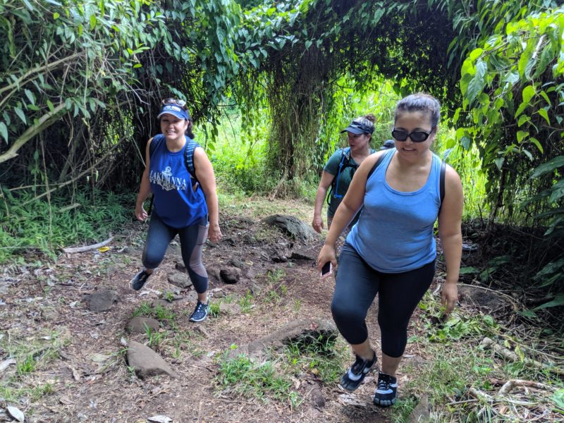 Morning Exercise On The Makiki Valley Loop Trail