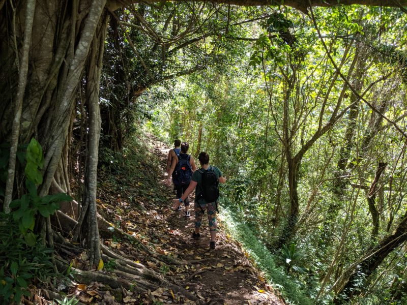 Makiki Valley Trail.