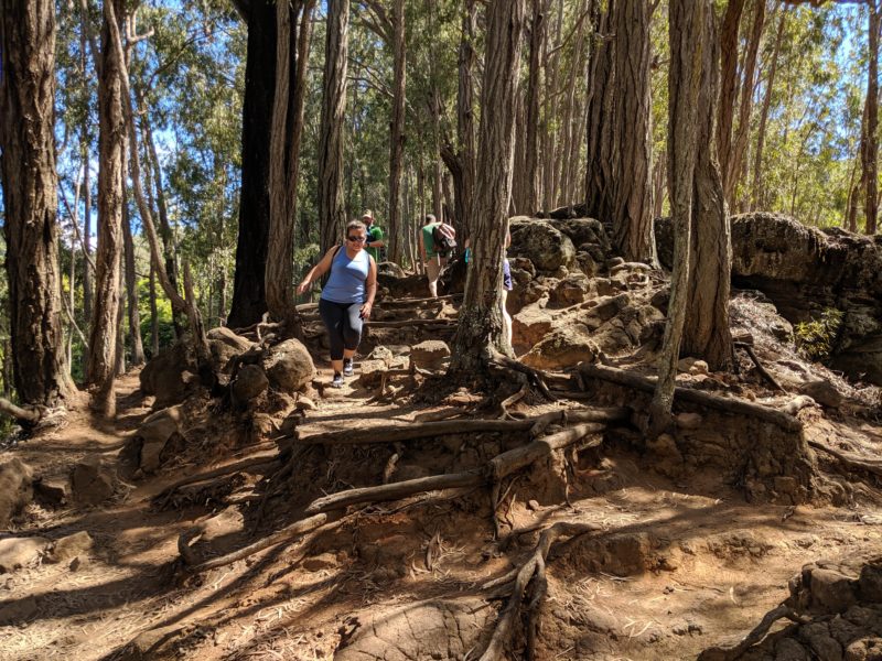 Hiking downhill on Maunalaha Trail.