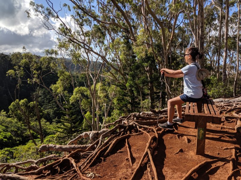 Aiea Loop Trail