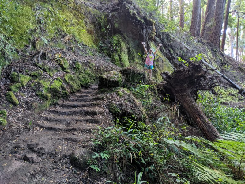 Aiea Loop Trail