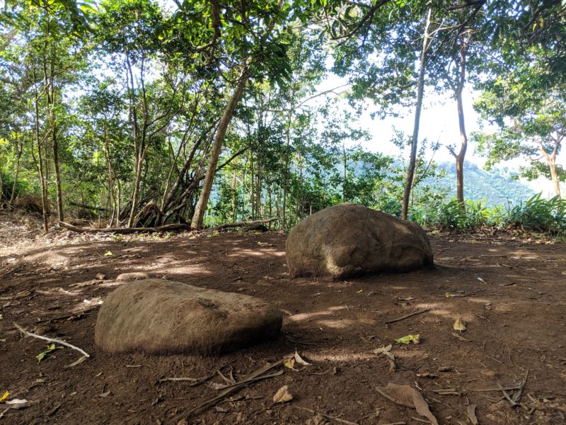 Aiea Loop Trail