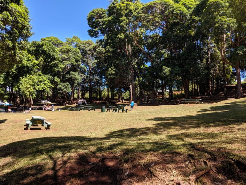 Aiea Loop Trail