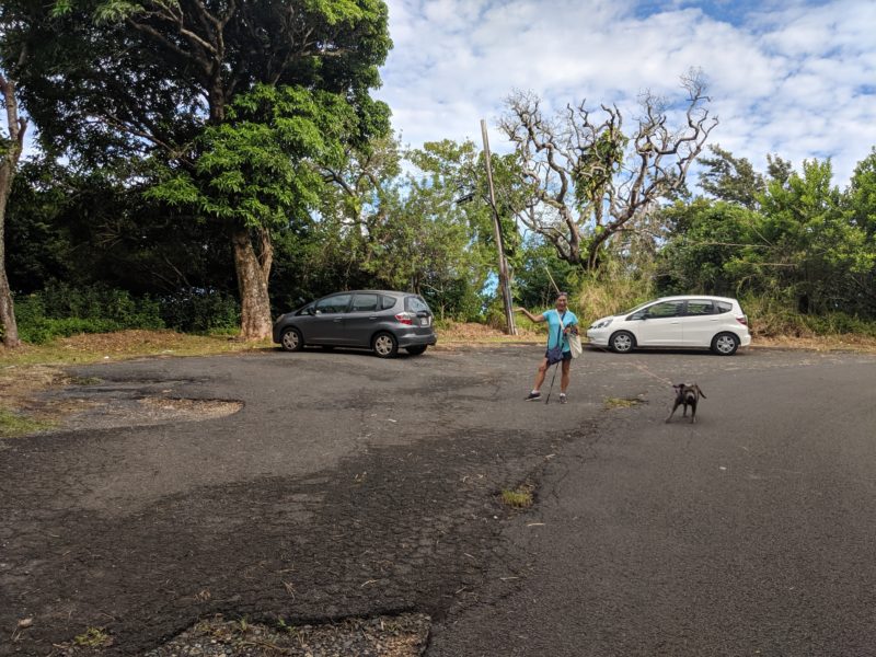 Mom and Daisy modeling in front of the Tantalus Drive "parking lot".