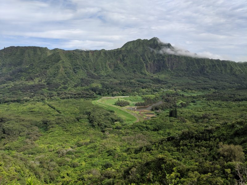 The view of Nuuanu Valley from Pauoa Flats Trail bench.