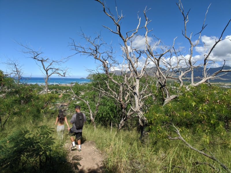 The pink pillbox hike is dry and very hot.