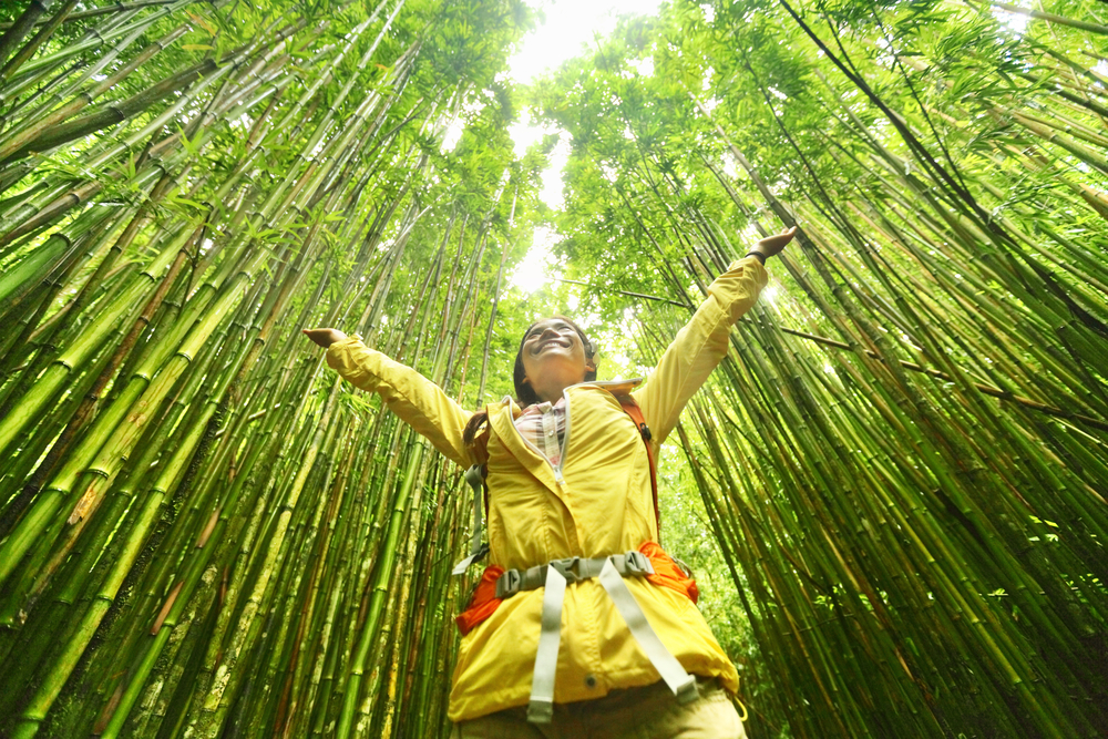 Hiking the Pipiwai Trail's bamboo forest on Maui's road to Hana.