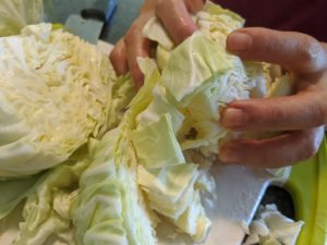 Cut the cores out and cut the cabbage into 1-inch pieces.