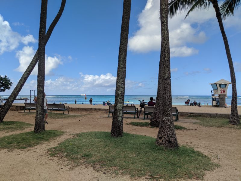 San Souci Beach - chance for Hawaiian monk seal sightings!