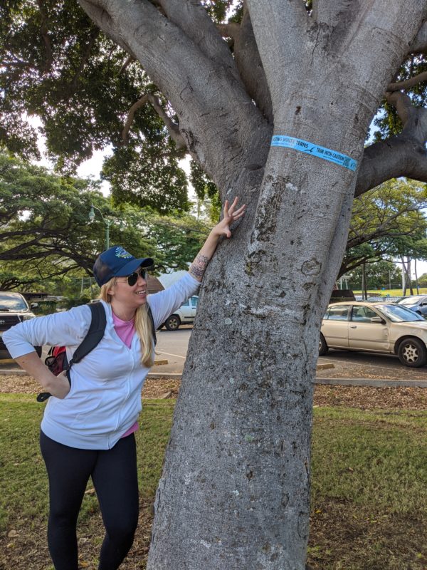 Jay pointing out a tree with a nesting Manu o Ku. Mom has good eyes!