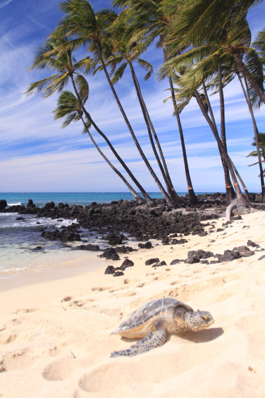 Kekaha Kai State Park's 3 Magnificent White Sand Beaches