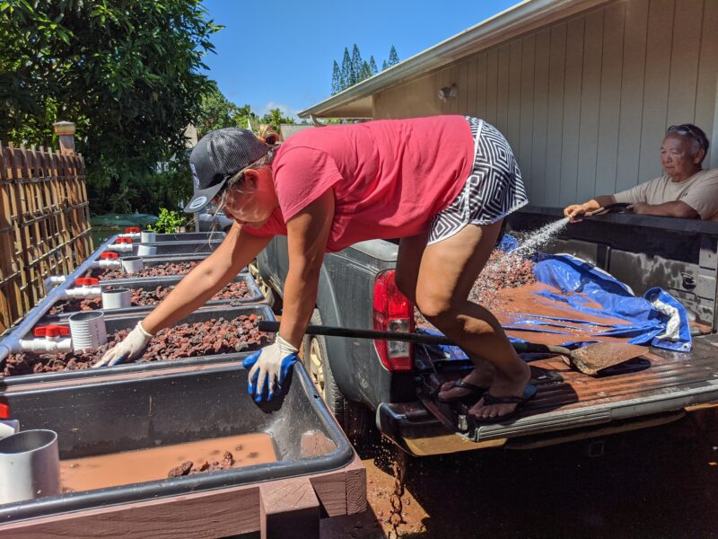 Residual red dirt in the aquaponic system.