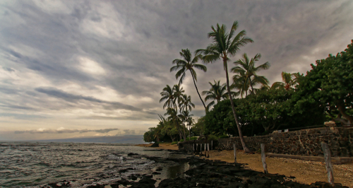 Coastal Hike To Kiholo Bay To See Green Sea Turtles