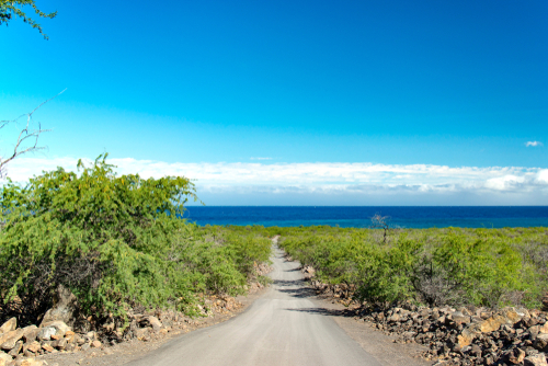 Coastal Hike To Kiholo Bay To See Green Sea Turtles