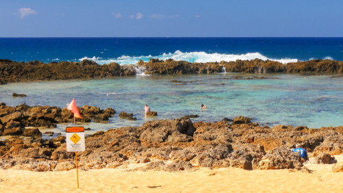 Snorkeling at Shark's Cove in Pupukea