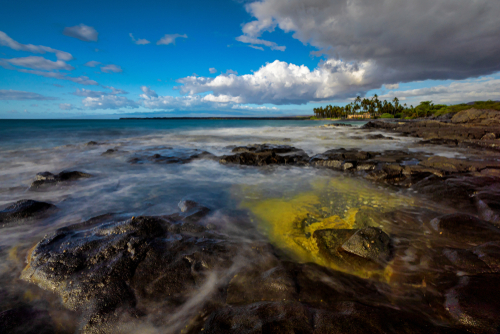 Coastal Hike To Kiholo Bay To See Green Sea Turtles