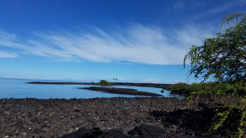 Coastal Hike To Kiholo Bay To See Green Sea Turtles