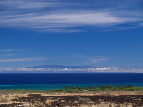 Coastal Hike To Kiholo Bay To See Green Sea Turtles