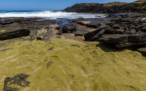 Papakolea Is One Of Four Green Sand Beaches In The World