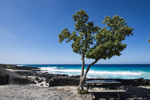 Kua Bay and Spectacular Manini'owali Beach