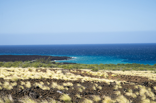 Coastal Hike To Kiholo Bay To See Green Sea Turtles