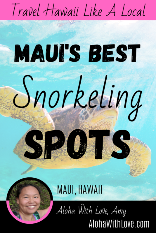 Pinterest Pin: A Guide To Snorkeling in Maui And The Best Snorkeling Spots