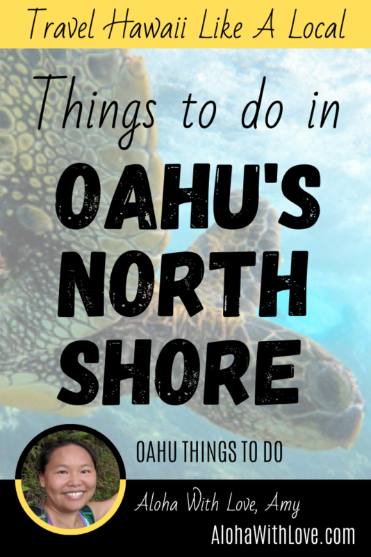 Pinterest Pin: Things to do in Oahu's North Shore