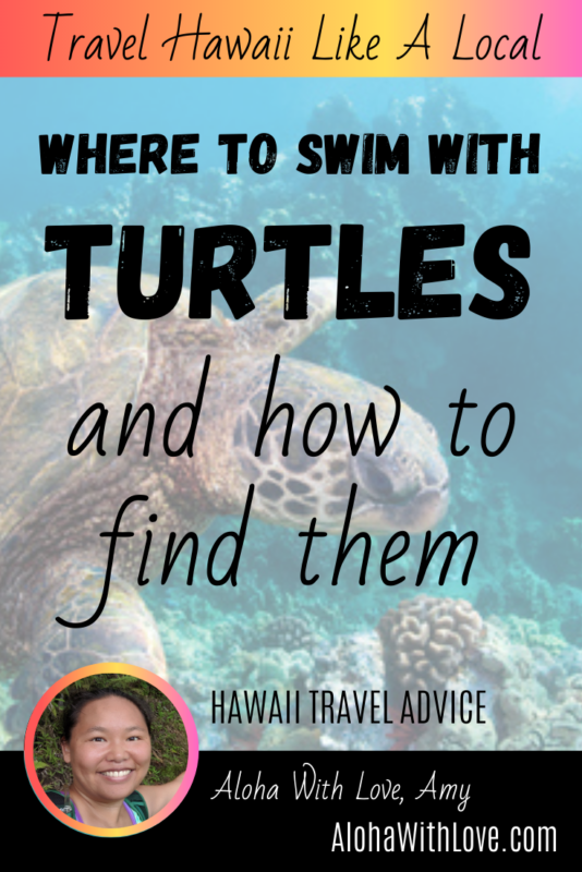 Pinterest Pin: Where To Swim With Turtles In Hawaii And How To Find Them