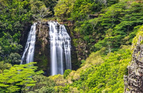 Enjoy the view of Opaekaa Falls in Kauai at the viewpoint.