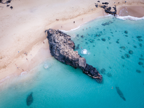 Waimea Beach turns into a big wave surf spot with surfing competitions in the winter. During the summer, it transforms into a zero-wave beach that's perfect for all ages.