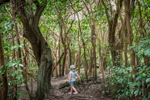 Wow! Kids can totally handle the Pipiwai Trail to Waimoku Falls in Maui!