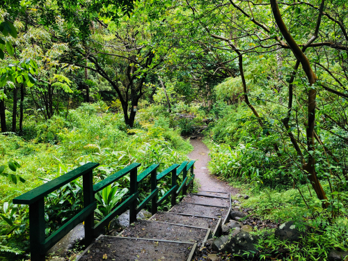 The Iao Valley Trail.