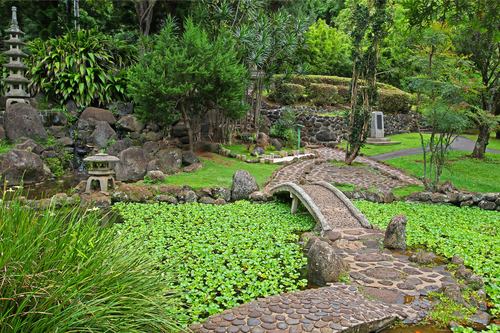 A Japanese garden with water ponds in Iao Valley State Park on Maui, Hawaii.