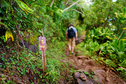 Passing the one mile marker on the Kalalau Trail in Kauai.