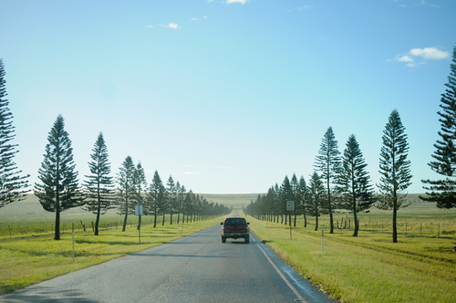 Driving around Lanai on a day trip.