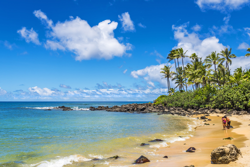 Laniakea Beach (Turtle Beach) is one of the most famous beaches in the North Shore because of the turtles that like to come up on the sand.