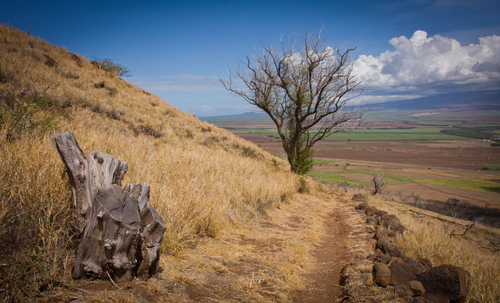 Lahaina Pali Trail