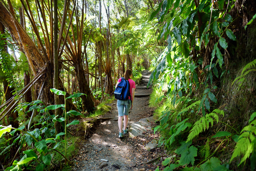 Hiking on the Kilauea Iki Trail in the Hawaii Volcanoes National Park on the Big Island, Hawaii.