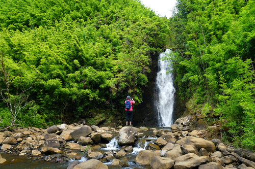 There are so many beautiful and accessible waterfalls in Maui, it's hard to pick a favorite!