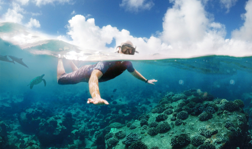 Snorkeling with a snorkel tour with clear and flat waters.