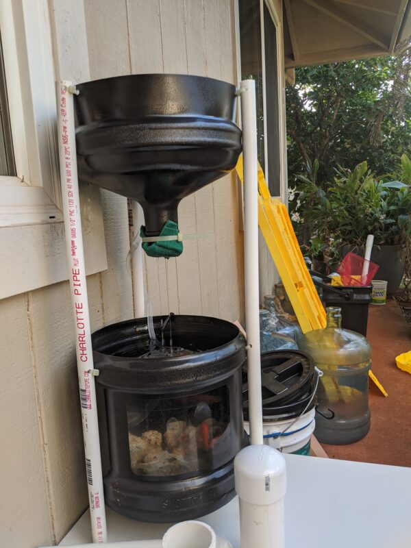 My completed mini aquaponics system with one gold fish.